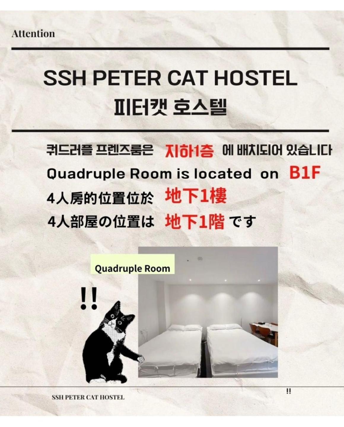 Ssh Ikseon Peter Cat Hostel Сеул Екстериор снимка